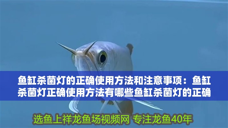 魚缸殺菌燈的正確使用方法和注意事項：魚缸殺菌燈正確使用方法有哪些魚缸殺菌燈的正確使用方法