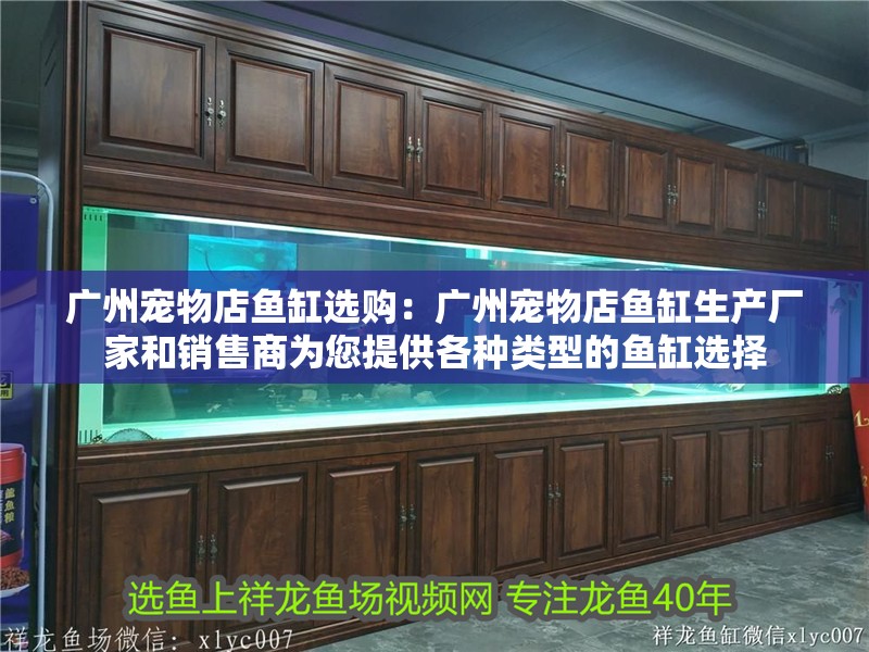 廣州寵物店魚缸選購：廣州寵物店魚缸生產廠家和銷售商為您提供各種類型的魚缸選擇