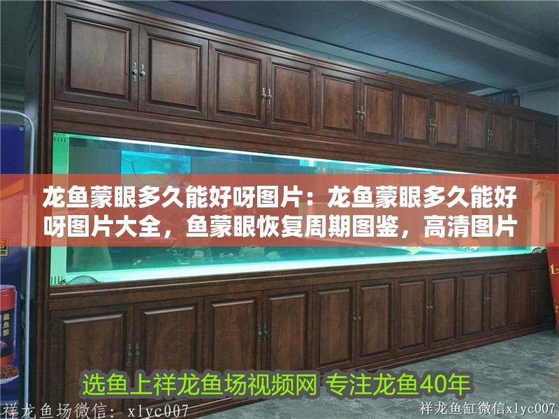 龍魚蒙眼多久能好呀圖片：龍魚蒙眼多久能好呀圖片大全，魚蒙眼恢復周期圖鑒，高清圖片大全解析治愈時長 龍魚蒙眼多久能好呀圖片：龍魚蒙眼多久能好呀圖片大全，魚蒙眼恢復周期圖鑒，高清圖片大全解析治愈時長 水族問答