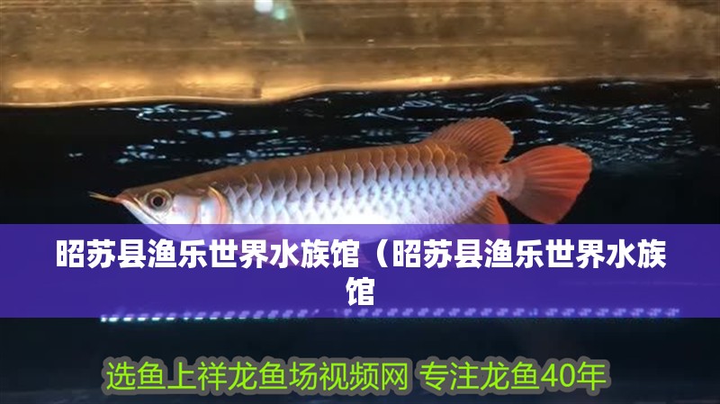 昭蘇縣漁樂世界水族館（昭蘇縣漁樂世界水族館
