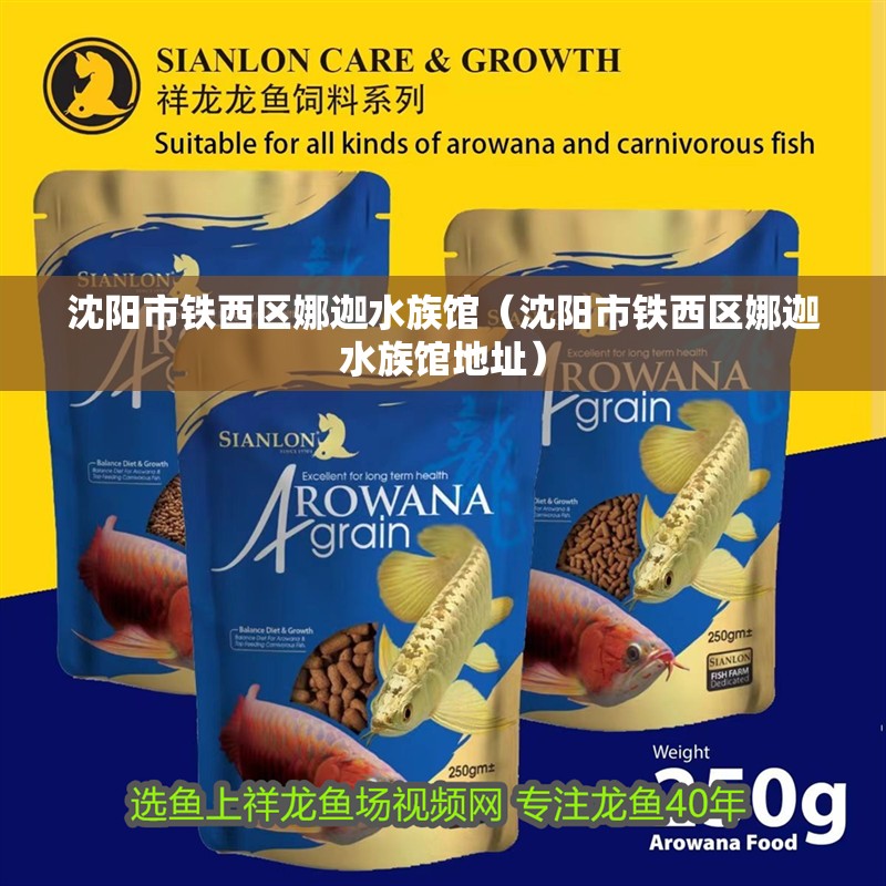 沈陽市鐵西區(qū)娜迦水族館（沈陽市鐵西區(qū)娜迦水族館地址）