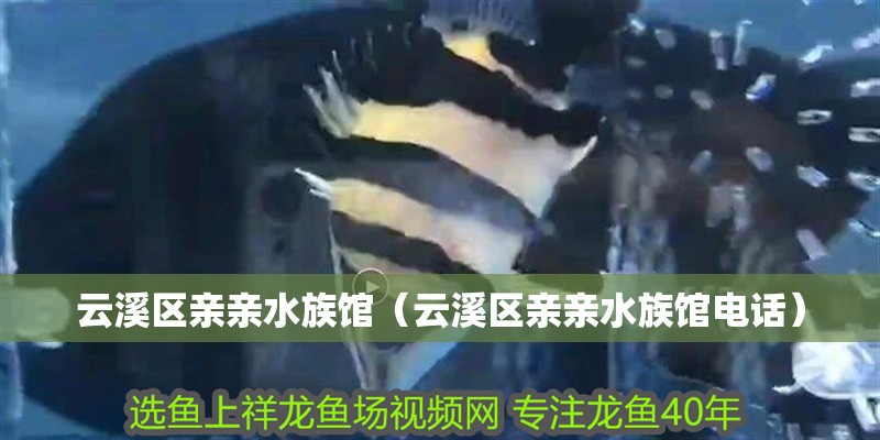 云溪區親親水族館（云溪區親親水族館電話）