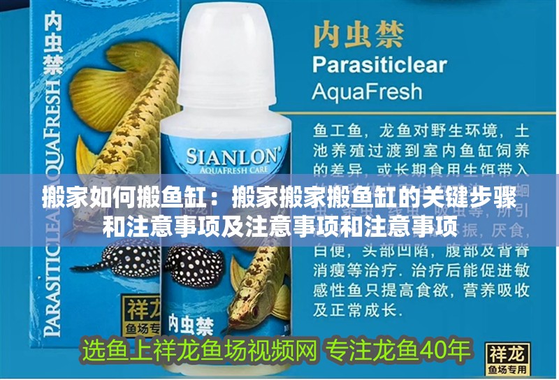 搬家如何搬魚缸：搬家搬家搬魚缸的關鍵步驟和注意事項及注意事項和注意事項 搬家如何搬魚缸：搬家搬家搬魚缸的關鍵步驟和注意事項及注意事項和注意事項 魚缸百科