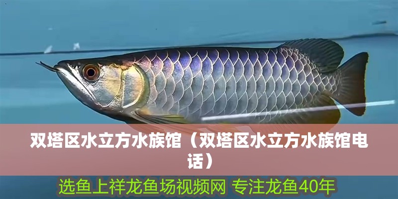 雙塔區水立方水族館(雙塔區水立方水族館電話) 全國水族館企業名錄 第2張 雙塔區水立方水族館(雙塔區水立方水族館電話) 雙塔區水立方水族館(雙塔區水立方水族館電話) 全國水族館企業名錄 第2張