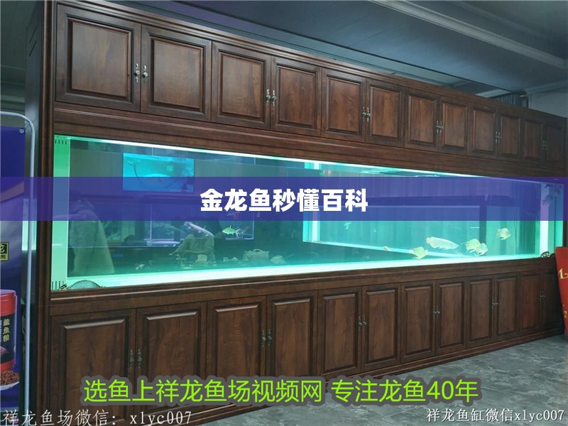 金龍魚秒懂百科