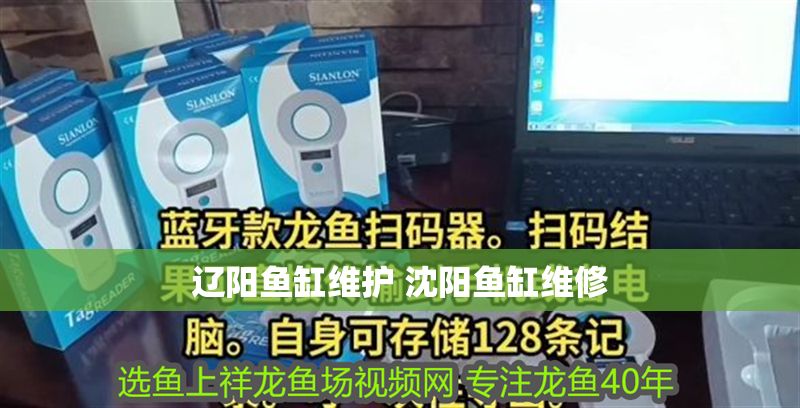 遼陽魚缸維護 沈陽魚缸維修