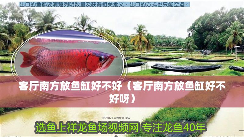 客廳南方放魚(yú)缸好不好（客廳南方放魚(yú)缸好不好呀）