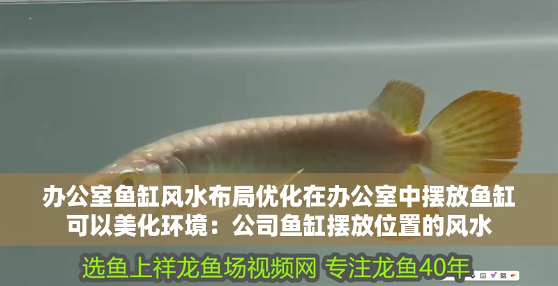 辦公室魚缸風水布局優(yōu)化在辦公室中擺放魚缸可以美化環(huán)境：公司魚缸擺放位置的風水