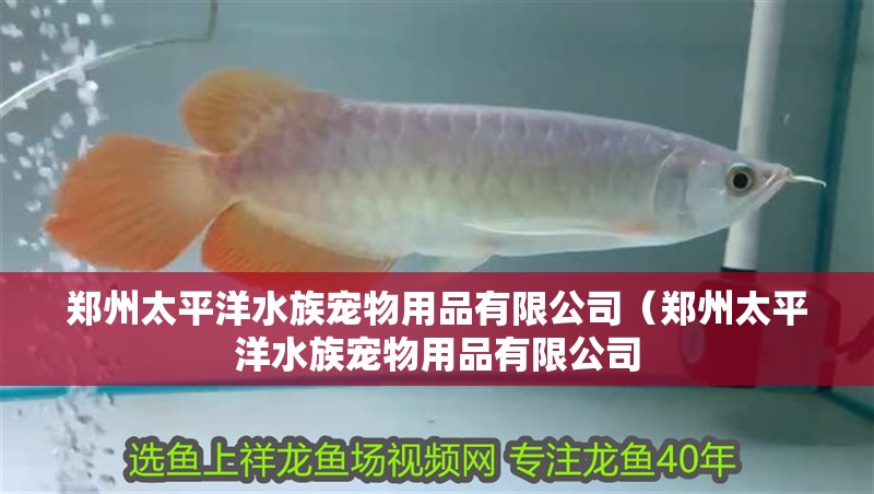 鄭州太平洋水族寵物用品有限公司（鄭州太平洋水族寵物用品有限公司