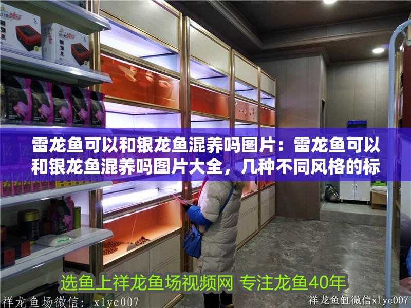 雷龍魚可以和銀龍魚混養嗎圖片：雷龍魚可以和銀龍魚混養嗎圖片大全，幾種不同風格的標題供你參考，，雷龍魚與銀龍魚能否混養？高清圖片全解析，探秘，雷龍魚和銀龍魚混養可行性及圖片集錦，雷龍魚×銀龍魚混養攻略，附超