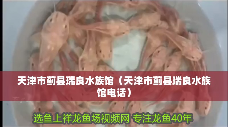 天津市薊縣瑞良水族館（天津市薊縣瑞良水族館電話）