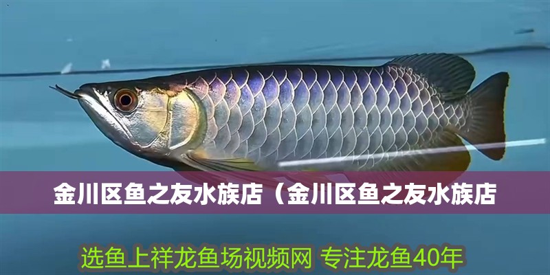 金川區魚之友水族店（金川區魚之友水族店