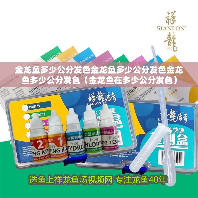 金龍魚多少公分發色金龍魚多少公分發色金龍魚多少公分發色（金龍魚在多少公分發色）