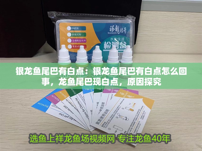 銀龍魚尾巴有白點：銀龍魚尾巴有白點怎么回事，龍魚尾巴現白點，原因探究
