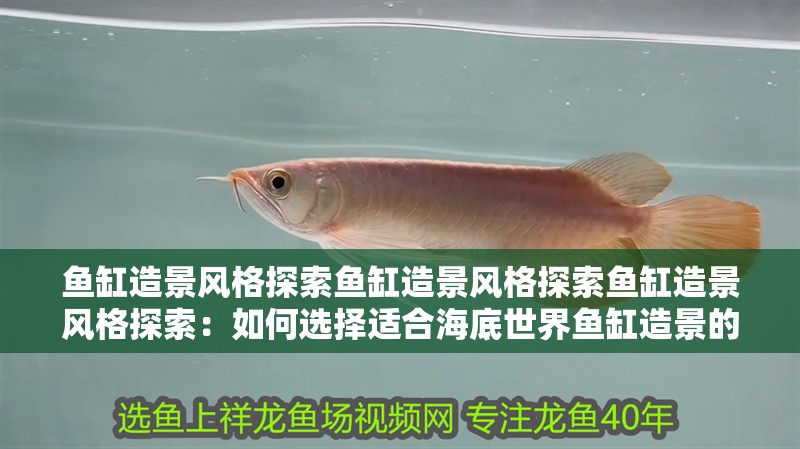 魚缸造景風(fēng)格探索魚缸造景風(fēng)格探索魚缸造景風(fēng)格探索：如何選擇適合海底世界魚缸造景的底砂