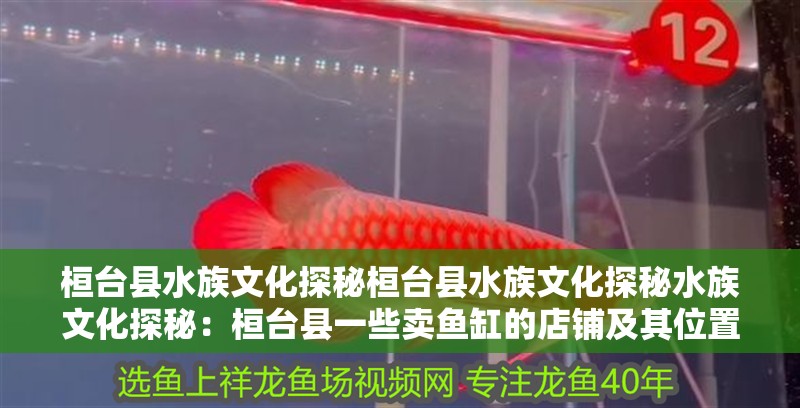 桓臺縣水族文化探秘桓臺縣水族文化探秘水族文化探秘：桓臺縣一些賣魚缸的店鋪及其位置信息