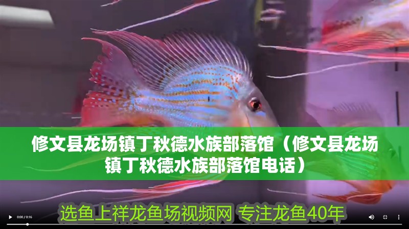修文縣龍場鎮(zhèn)丁秋德水族部落館（修文縣龍場鎮(zhèn)丁秋德水族部落館電話）