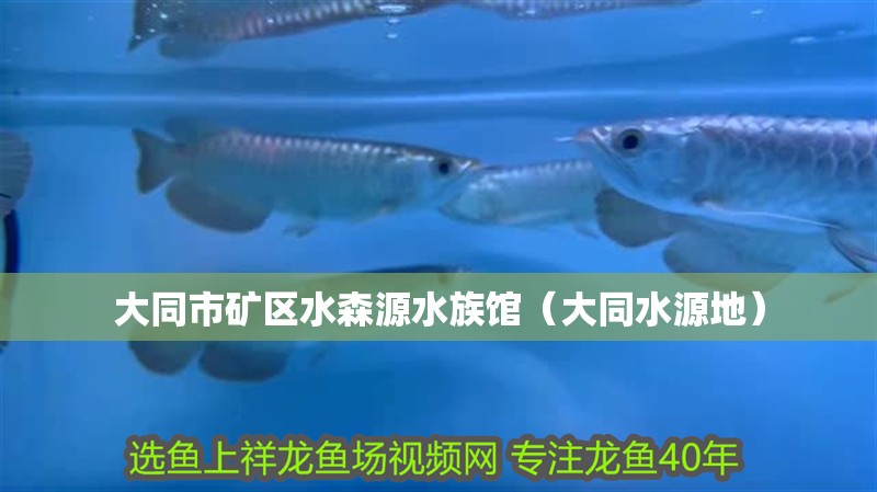 大同市礦區水森源水族館（大同水源地）