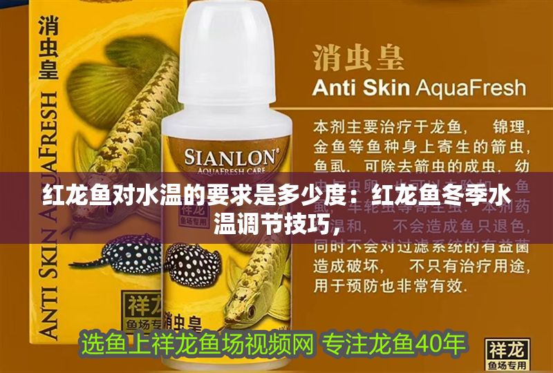 紅龍魚對水溫的要求是多少度：紅龍魚冬季水溫調節技巧，