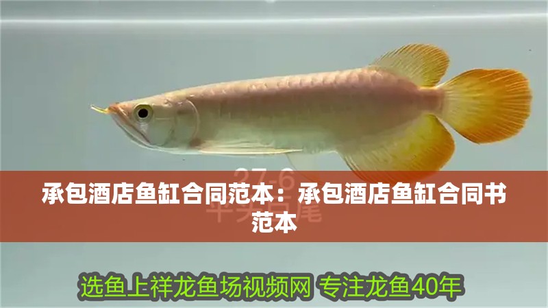 承包酒店魚缸合同范本：承包酒店魚缸合同書范本
