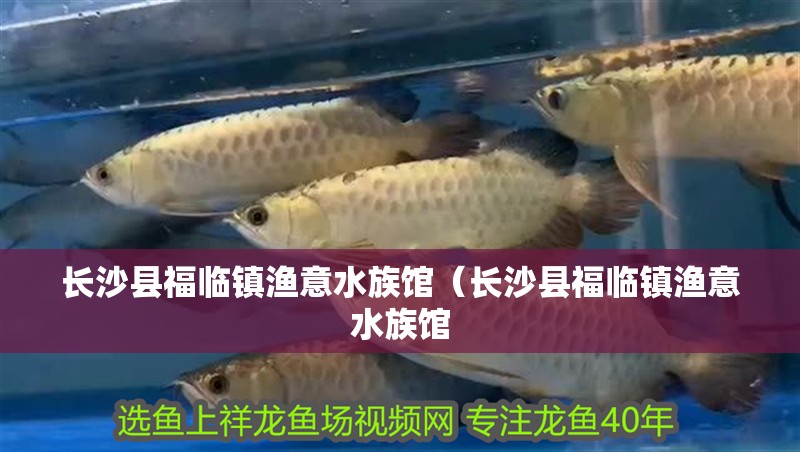 長沙縣福臨鎮漁意水族館（長沙縣福臨鎮漁意水族館