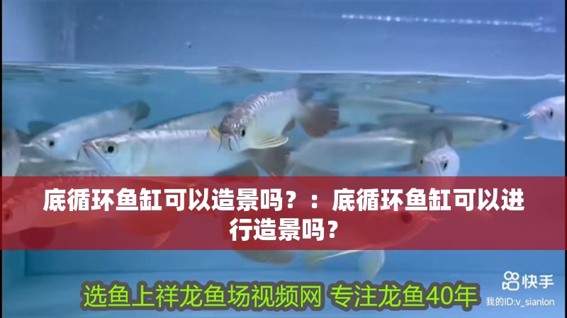底循環魚缸可以造景嗎？：底循環魚缸可以進行造景嗎？