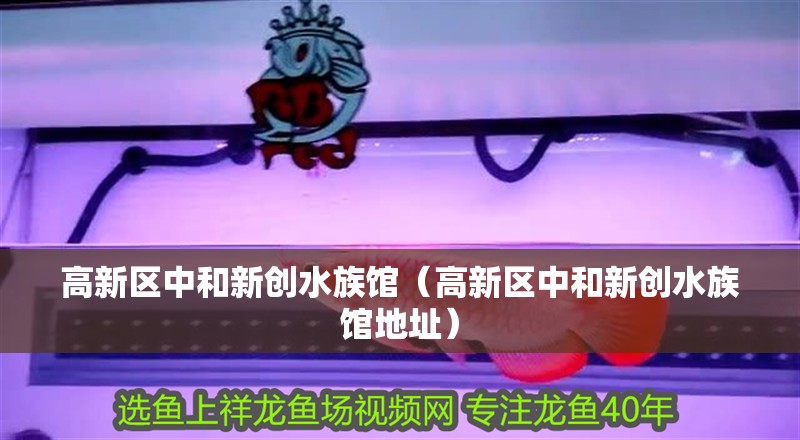 高新區(qū)中和新創(chuàng)水族館（高新區(qū)中和新創(chuàng)水族館地址）