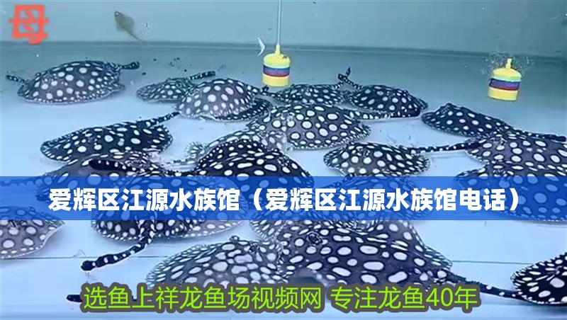 愛輝區(qū)江源水族館（愛輝區(qū)江源水族館電話）