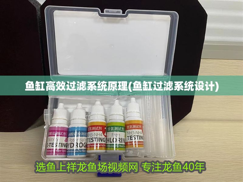 魚缸高效過濾系統原理(魚缸過濾系統設計)