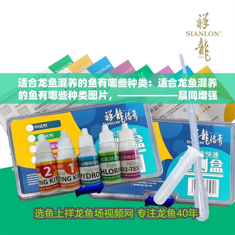 適合龍魚混養的魚有哪些種類：適合龍魚混養的魚有哪些種類圖片，——————晨間增強頂部燈光吸引日行性魚