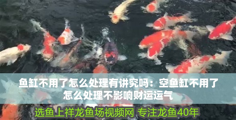 魚缸不用了怎么處理有講究嗎：空魚缸不用了怎么處理不影響財(cái)運(yùn)運(yùn)氣
