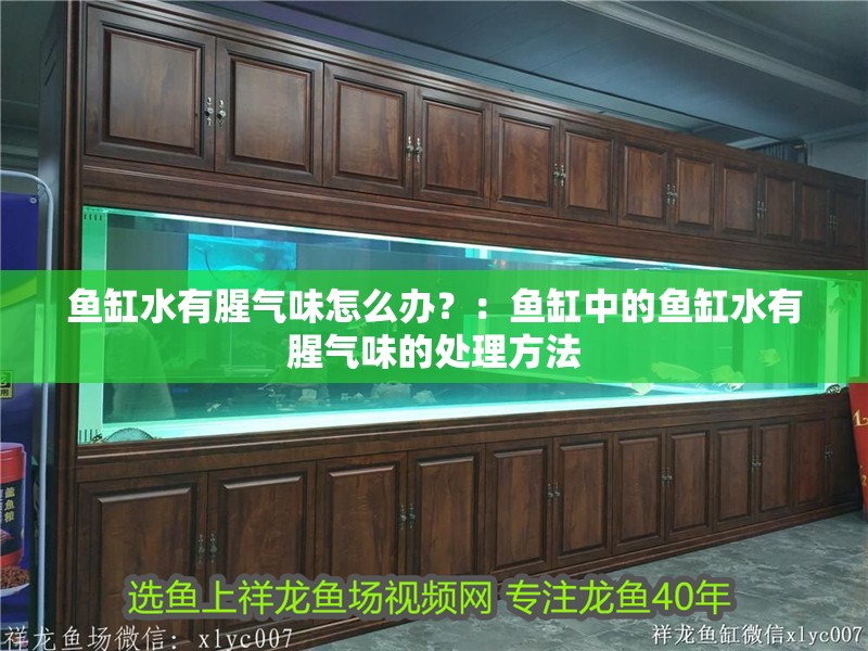 魚缸水有腥氣味怎么辦？：魚缸中的魚缸水有腥氣味的處理方法