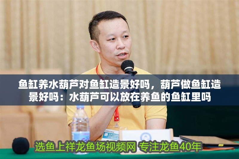 魚缸養(yǎng)水葫蘆對(duì)魚缸造景好嗎，葫蘆做魚缸造景好嗎：水葫蘆可以放在養(yǎng)魚的魚缸里嗎