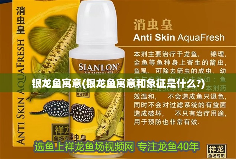 銀龍魚寓意(銀龍魚寓意和象征是什么?)