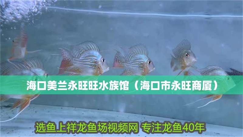 海口美蘭永旺旺水族館（海口市永旺商廈）