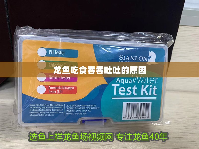 龍魚吃食吞吞吐吐的原因