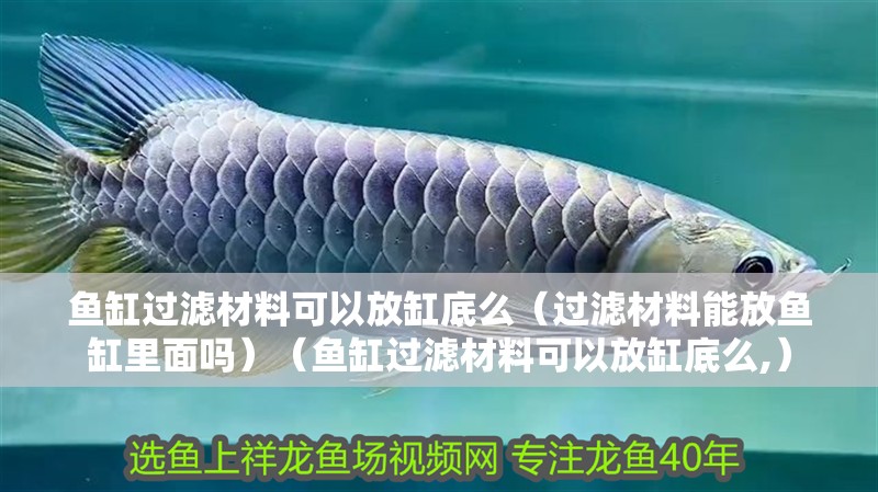 魚(yú)缸過(guò)濾材料可以放缸底么（過(guò)濾材料能放魚(yú)缸里面嗎）（魚(yú)缸過(guò)濾材料可以放缸底么,）