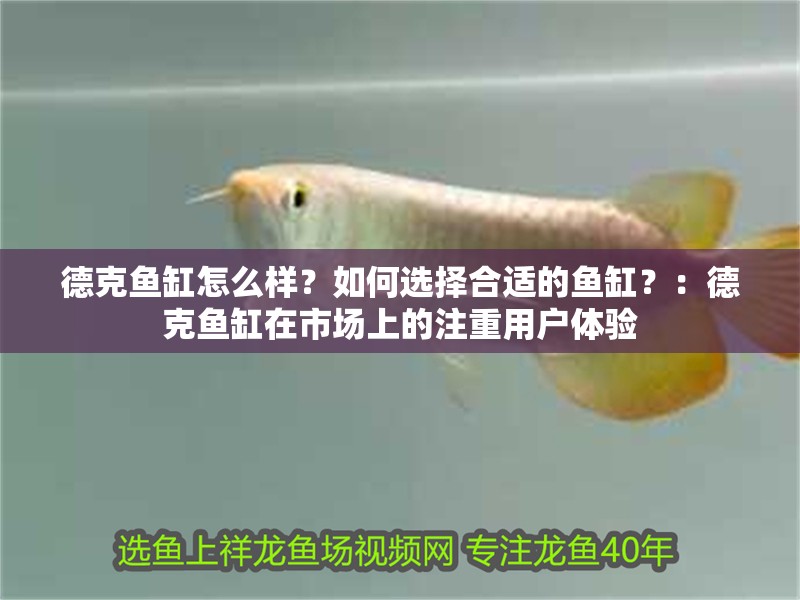 德克魚缸怎么樣？如何選擇合適的魚缸？：德克魚缸在市場上的注重用戶體驗