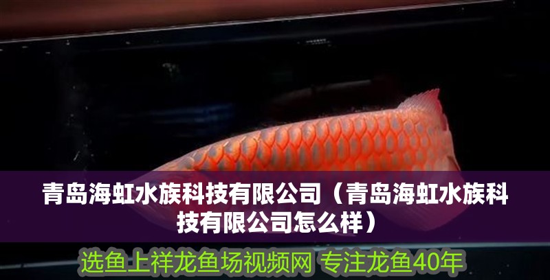 青島海虹水族科技有限公司(青島海虹水族科技有限公司怎么樣) 全國水族館企業名錄 第2張 青島海虹水族科技有限公司(青島海虹水族科技有限公司怎么樣) 青島海虹水族科技有限公司(青島海虹水族科技有限公司怎么樣) 全國水族館企業名錄 第2張