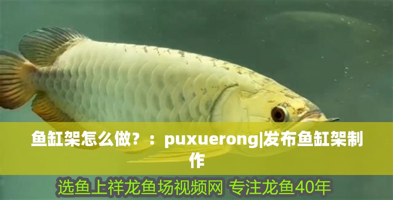 魚缸架怎么做？：puxuerong|發布魚缸架制作