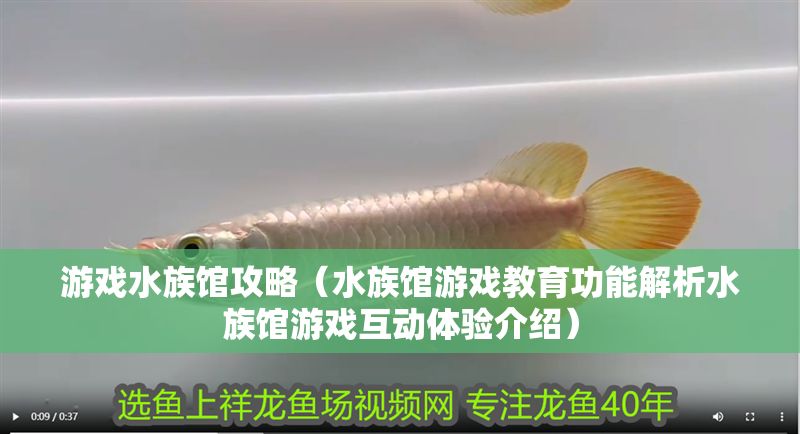 游戲水族館攻略（水族館游戲教育功能解析水族館游戲互動體驗介紹）