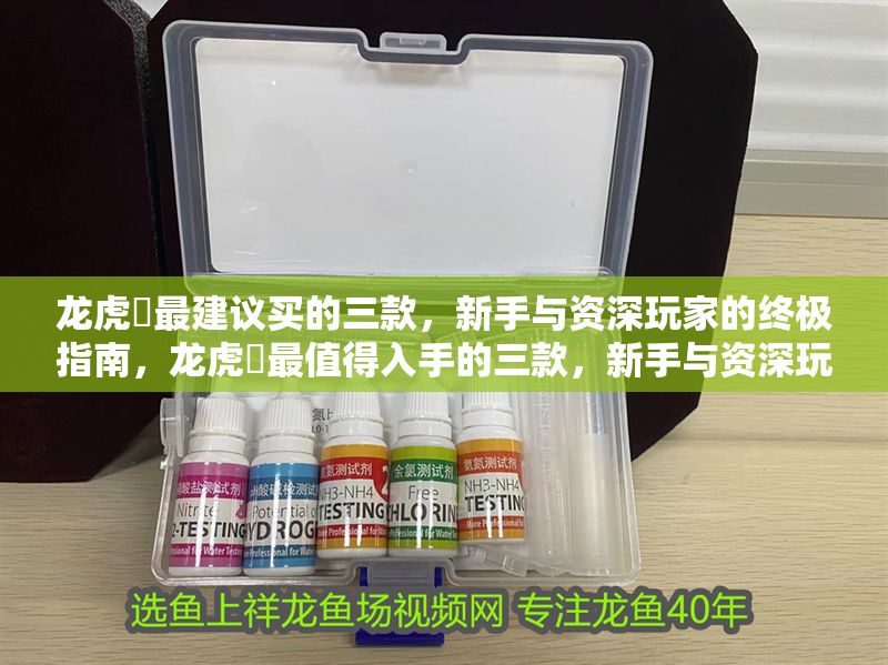 龍虎魟最建議買的三款，新手與資深玩家的終極指南，龍虎魟最值得入手的三款，新手與資深玩家終極選購指南