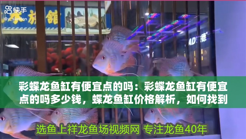 彩蝶龍魚缸有便宜點的嗎：彩蝶龍魚缸有便宜點的嗎多少錢，蝶龍魚缸價格解析，如何找到高性價比