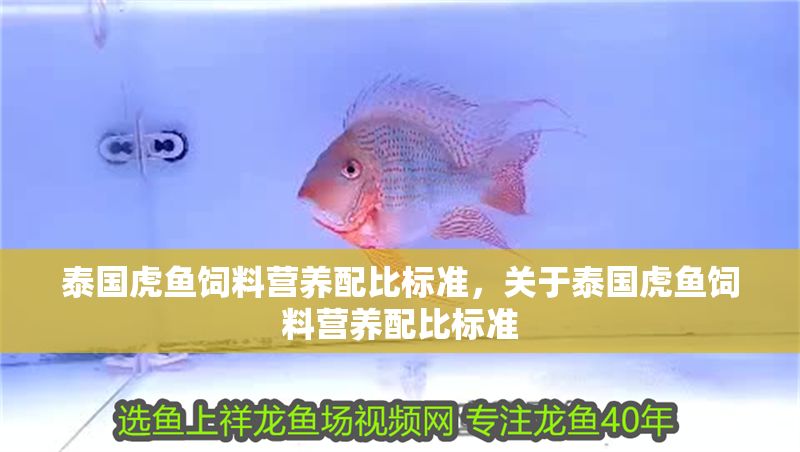 泰國虎魚飼料營養配比標準，關于泰國虎魚飼料營養配比標準