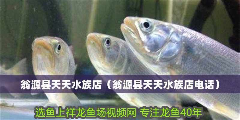 翁源縣天天水族店（翁源縣天天水族店電話）
