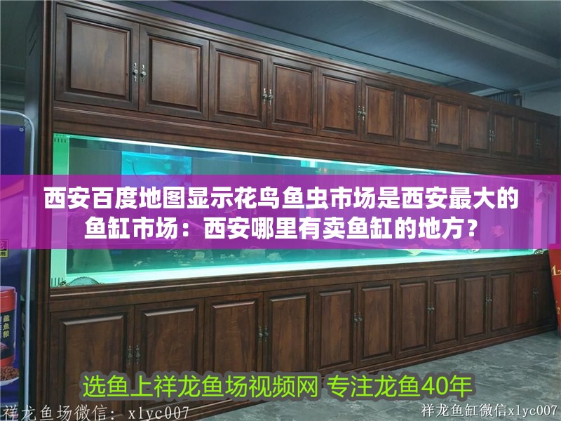 西安百度地圖顯示花鳥魚蟲市場是西安最大的魚缸市場：西安哪里有賣魚缸的地方？