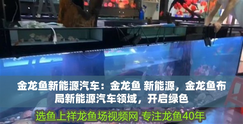金龍魚新能源汽車：金龍魚 新能源，金龍魚布局新能源汽車領域，開啟綠色