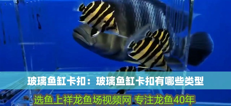 玻璃魚缸卡扣：玻璃魚缸卡扣有哪些類型