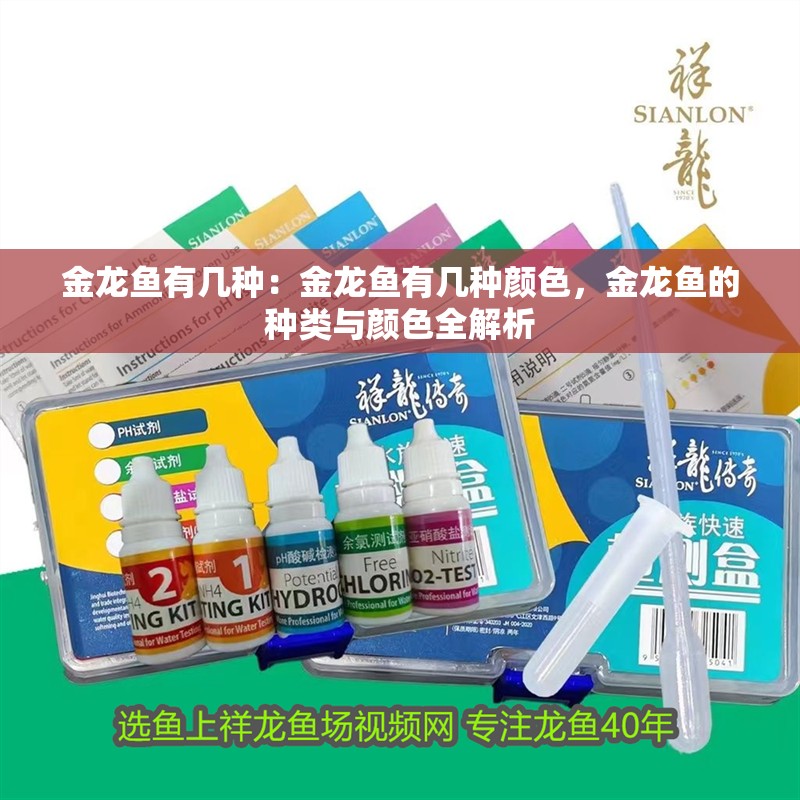 金龍魚有幾種：金龍魚有幾種顏色，金龍魚的種類與顏色全解析
