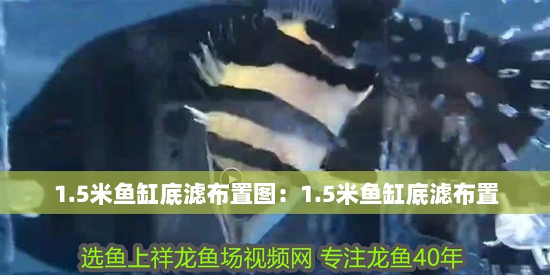 1.5米魚(yú)缸底濾布置圖：1.5米魚(yú)缸底濾布置